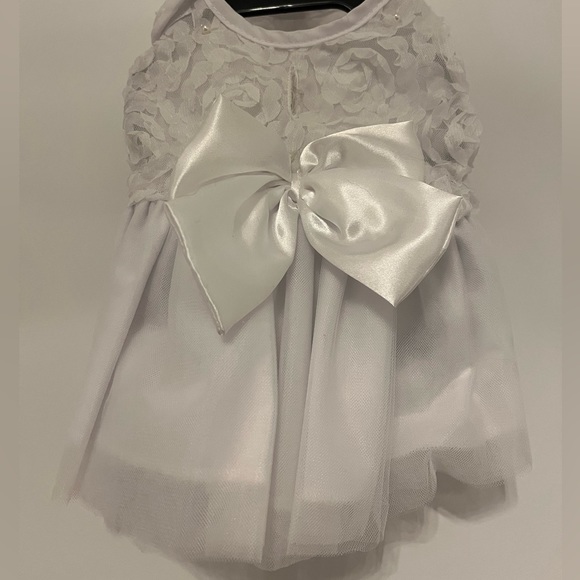 Like New Condition - White Lace Dress for Small Pet - Picture 6 of 8